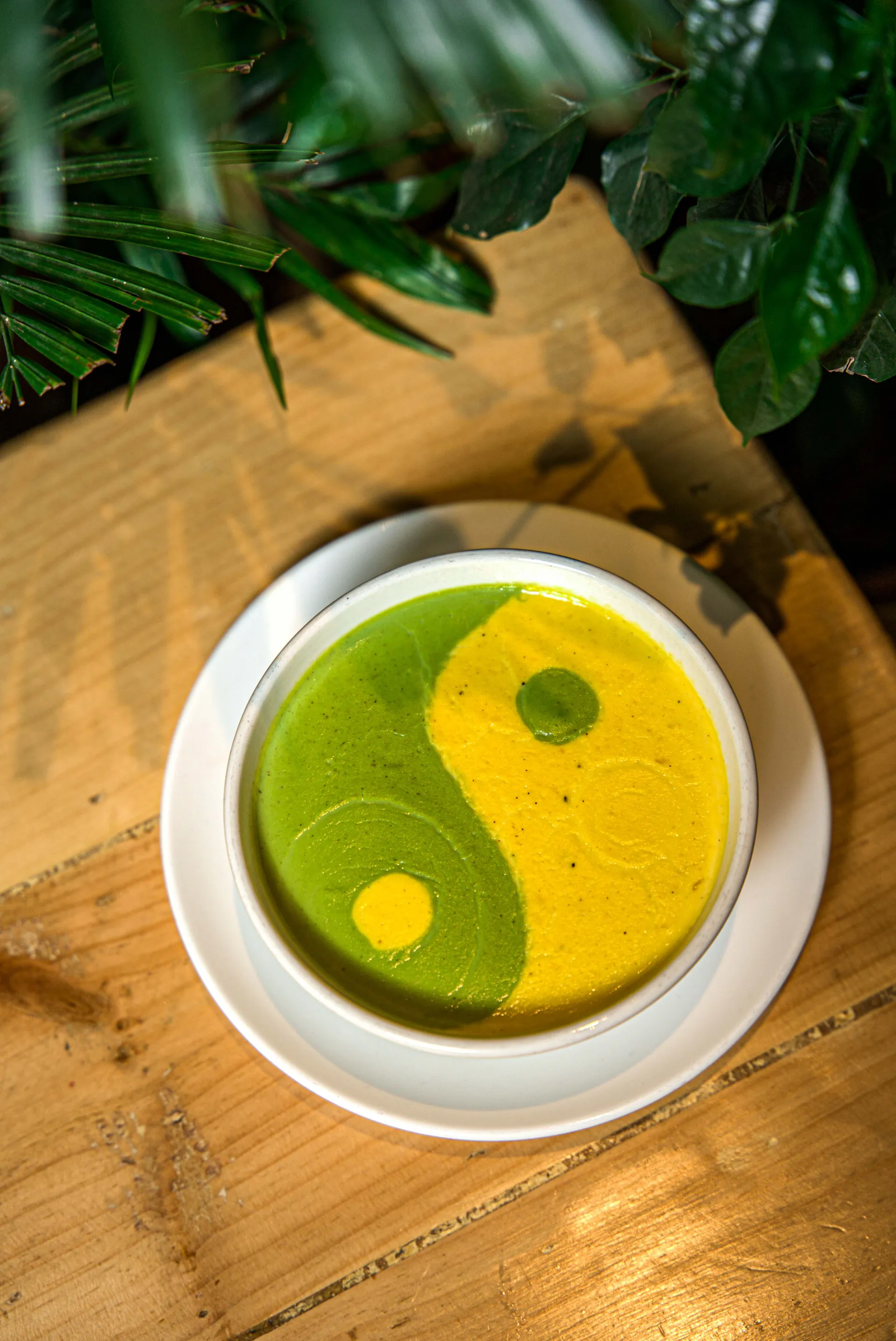 Chef's Special - Yin Yang Soup